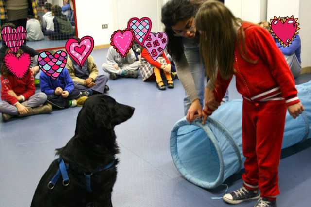 La pet therapy: cani, gatti, asini e pappagalli in aiuto di chi soffre